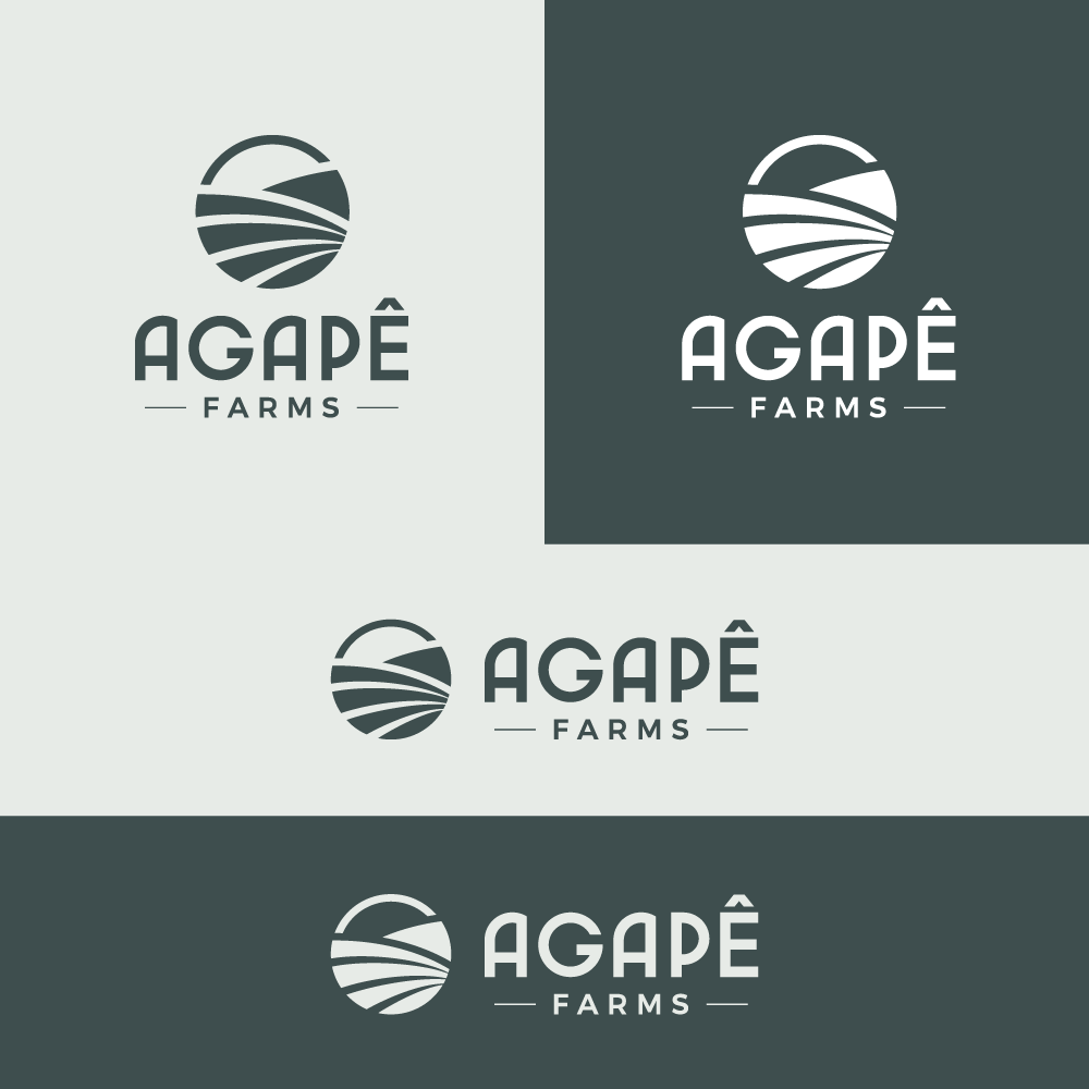 Logo Design by AAZ_Studio for Agapé Physical Therapy | Design #37671324