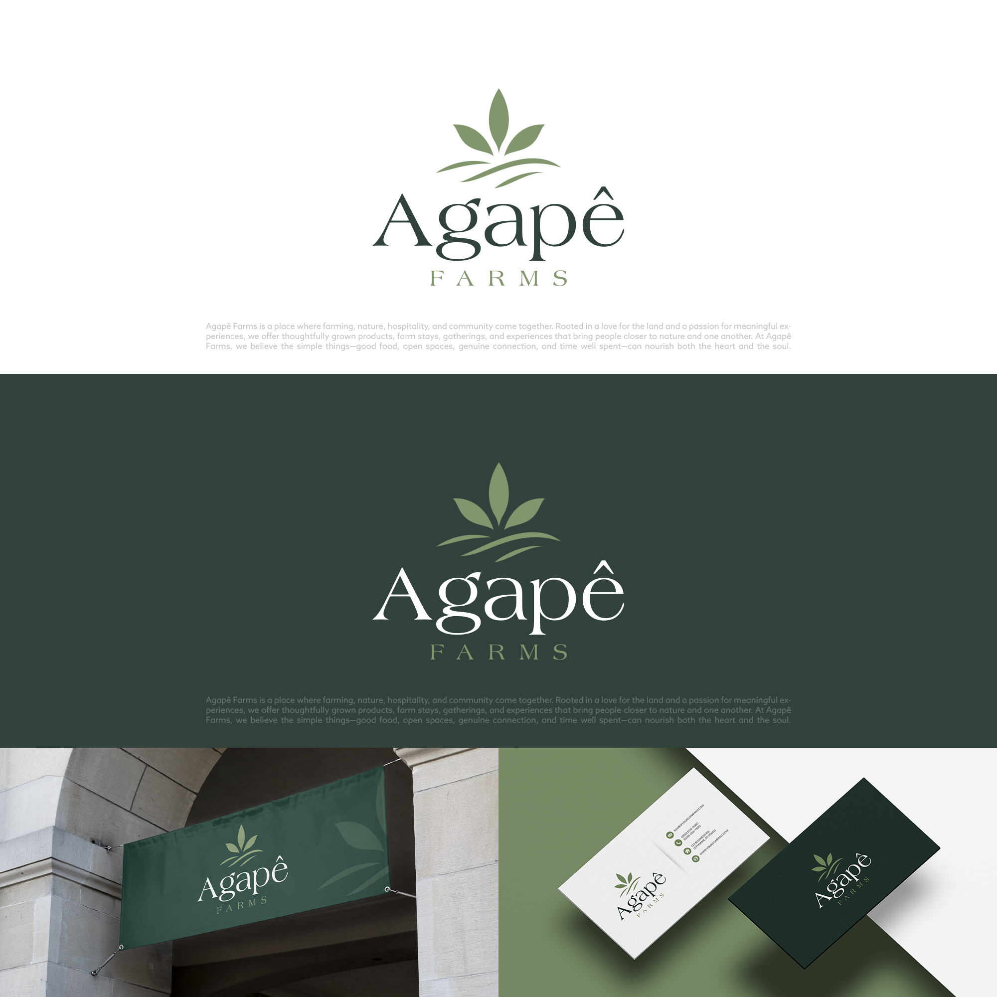 Logo Design by COLOUR CREATIVE for Agapé Physical Therapy | Design #37677309