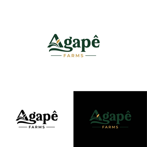 Logo Design by BANI GD for Agapé Physical Therapy | Design: #37674716
