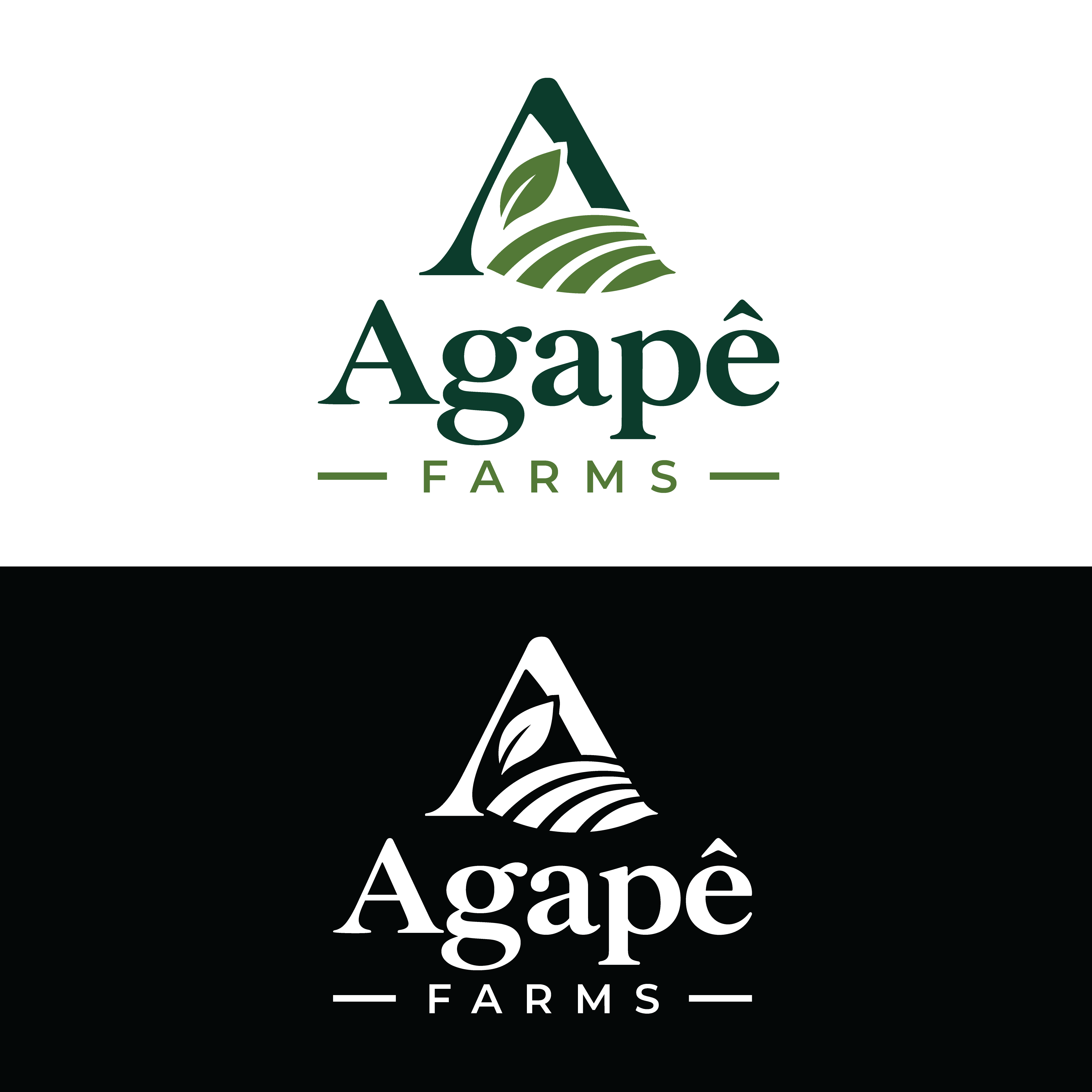 Logo Design by Casey Kelechi for Agapé Physical Therapy | Design #37671407