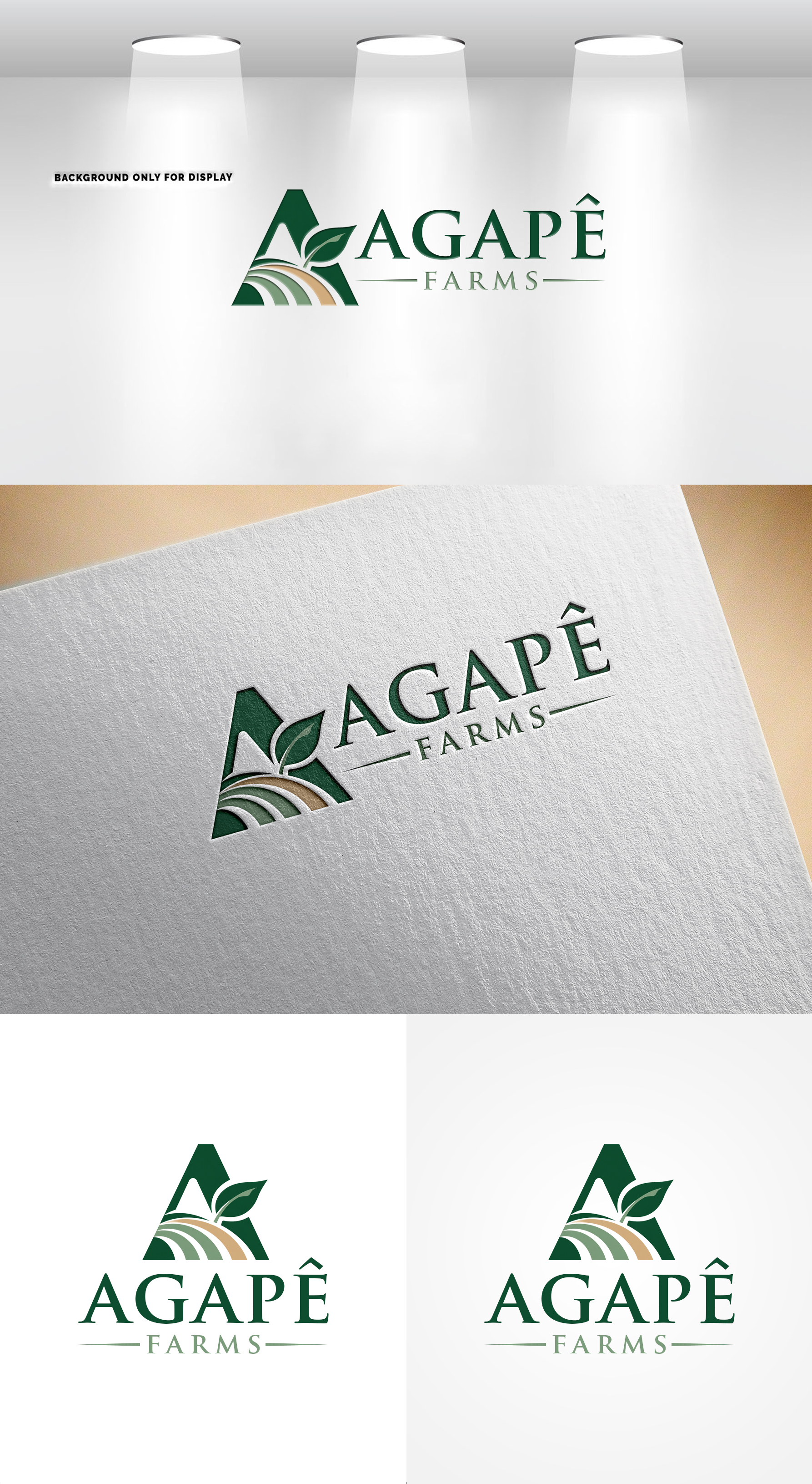 Logo Design by Joseph Robert for Agapé Physical Therapy | Design #37670931