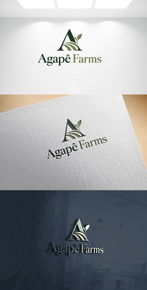 Design de Logo par Joseph Robert pour Agapé Physical Therapy | Design : #37672977