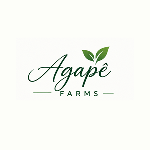 Logo Design by WahDesign for Agapé Physical Therapy | Design: #37679119