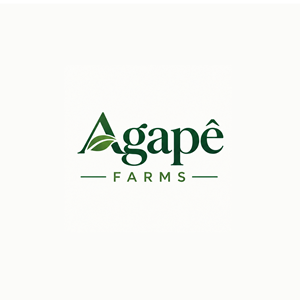 Logo Design by WahDesign for Agapé Physical Therapy | Design: #37679120