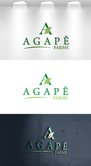 Logo Design by VisionCraft™ for Agapé Physical Therapy | Design: #37670984