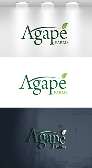 Logo Design by VisionCraft™ for Agapé Physical Therapy | Design: #37670985