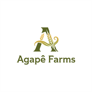 Logo Design by ghillvan for Agapé Physical Therapy | Design: #37675868
