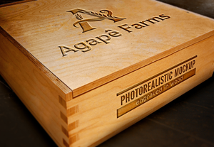 Logo Design by ghillvan for Agapé Physical Therapy | Design: #37675869