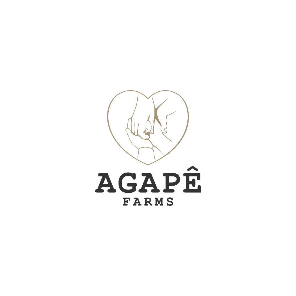 Logo Design by crea4 for Agapé Physical Therapy | Design #37672956