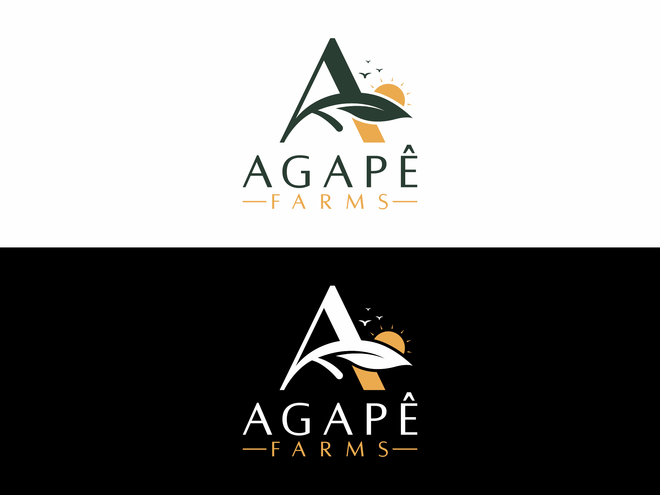 Logo Design by StunnerDesignz for Agapé Physical Therapy | Design #37673296
