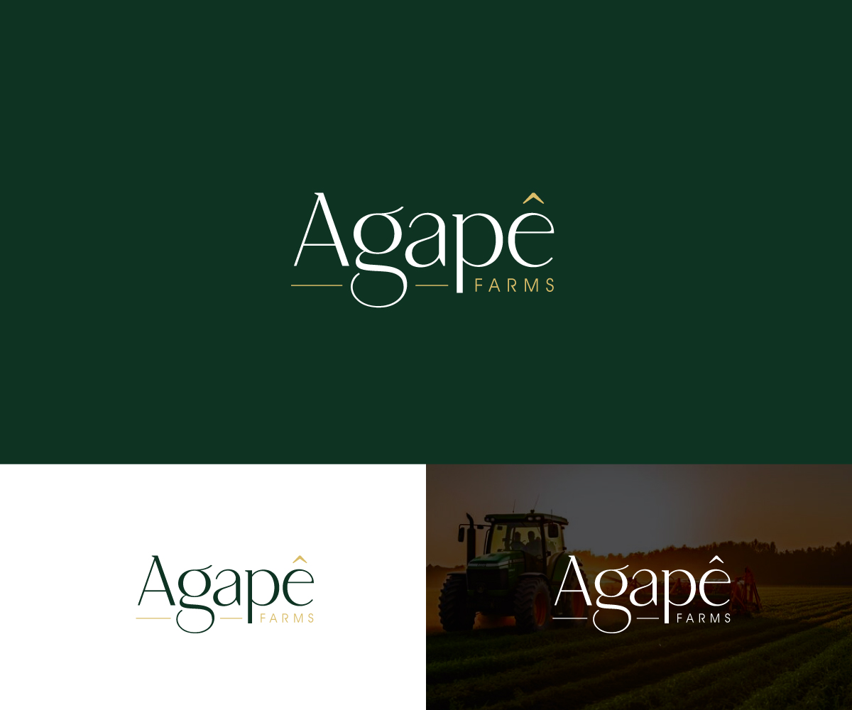 Logo Design by WB NAG for Agapé Physical Therapy | Design #37671726