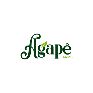 Logo Design by @Dh24 for Agapé Physical Therapy | Design: #37674261
