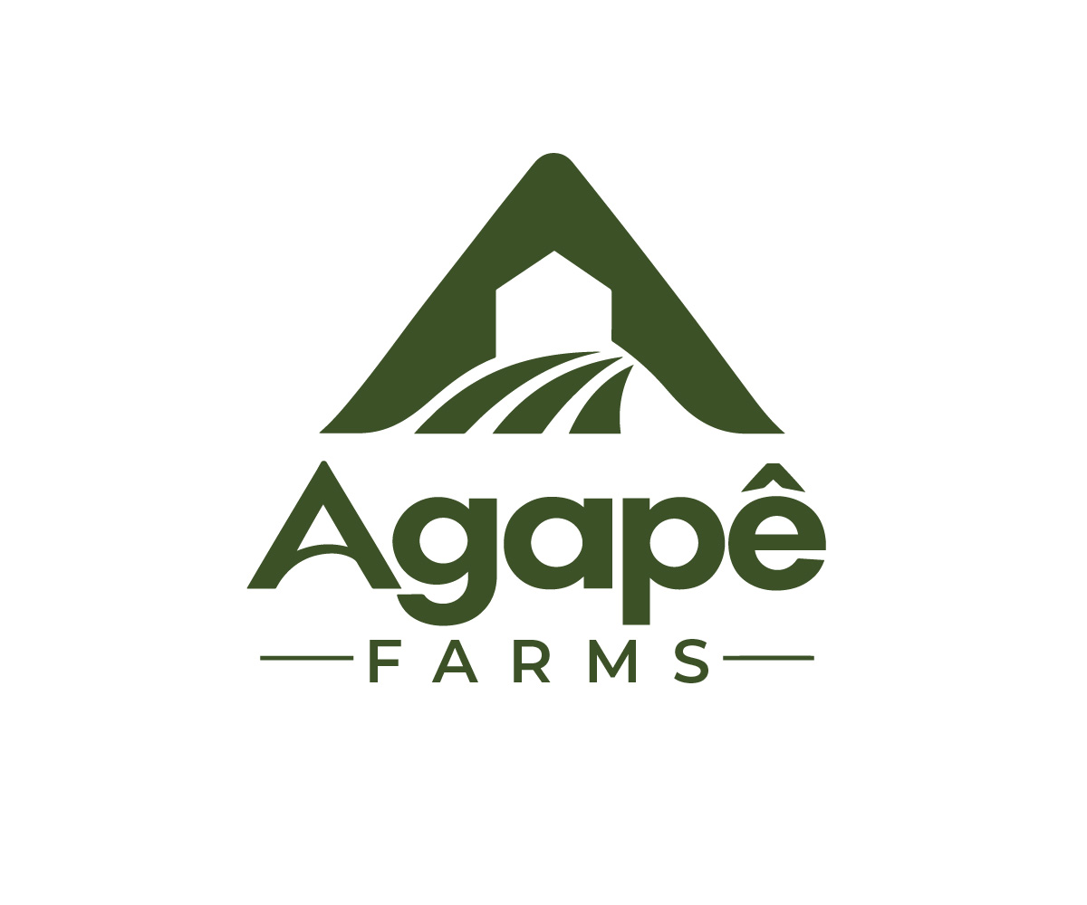Logo Design by Mala Begum for Agapé Physical Therapy | Design #37670366