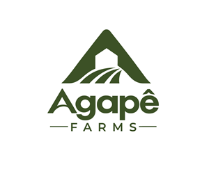 Logo Design by Mala Begum for Agapé Physical Therapy | Design: #37670366