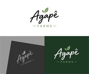 Logo Design by Ms.18 for Agapé Physical Therapy | Design: #37676667