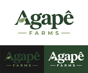 Design de Logo par itadori yanto pour Agapé Physical Therapy | Design : #37670408