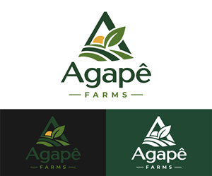 Design de Logo par itadori yanto pour Agapé Physical Therapy | Design : #37670414