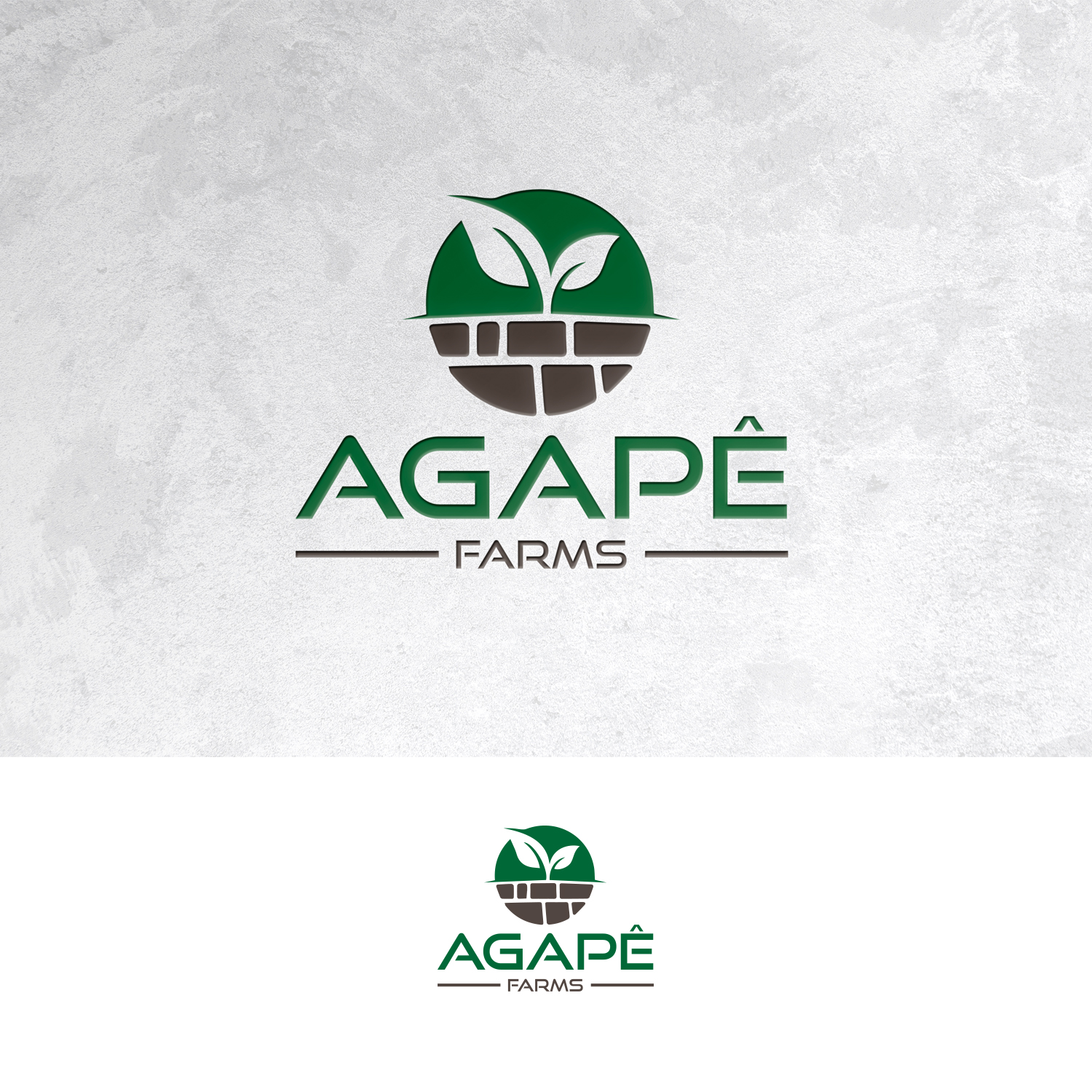 Logo Design by Sain G for Agapé Physical Therapy | Design #37671371