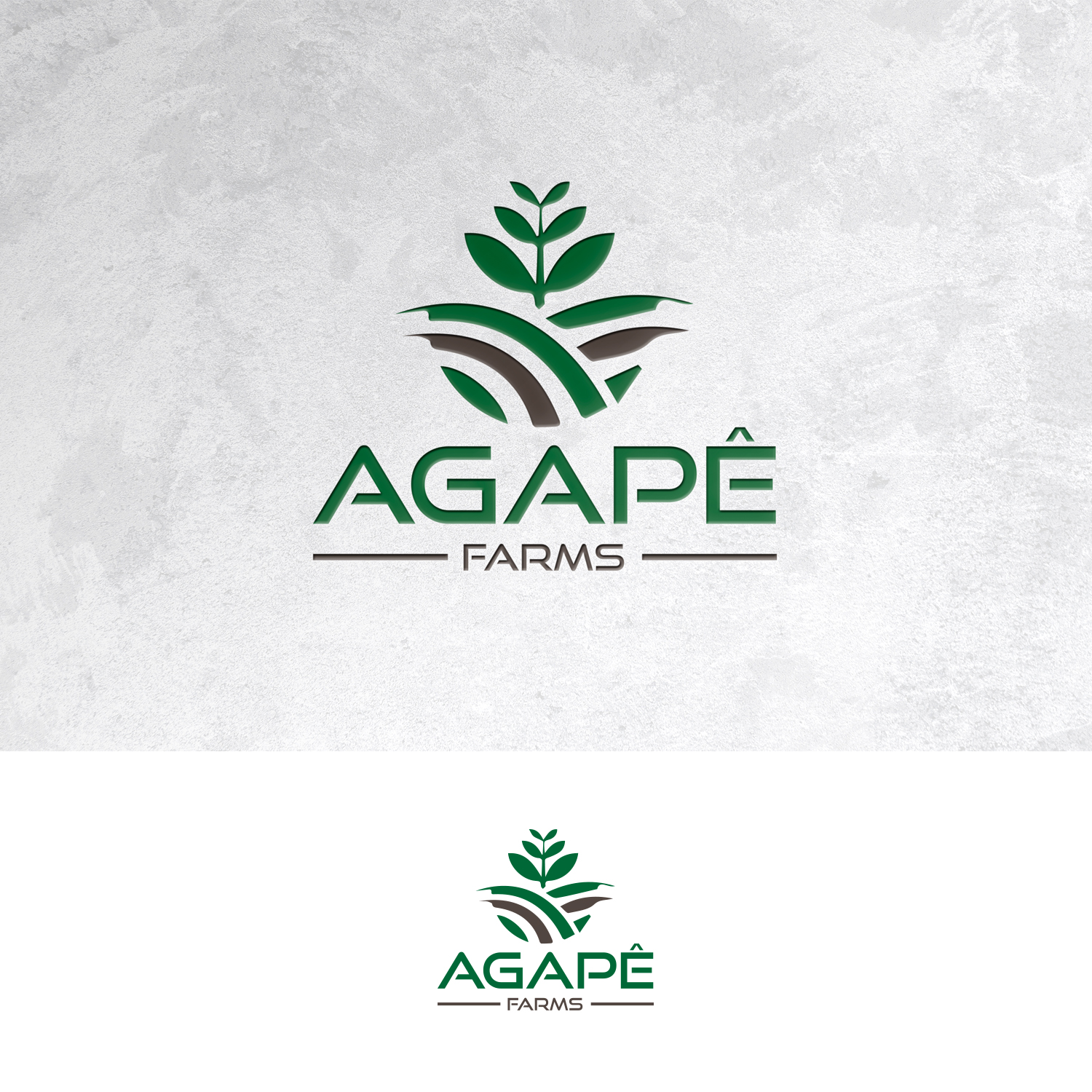 Logo Design by Sain G for Agapé Physical Therapy | Design #37671373