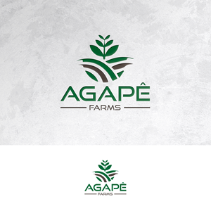 Logo Design by Sain G for Agapé Physical Therapy | Design: #37671373