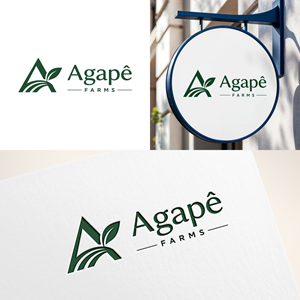 Design de Logo par Virtuoso_designs pour Agapé Physical Therapy | Design : #37670662