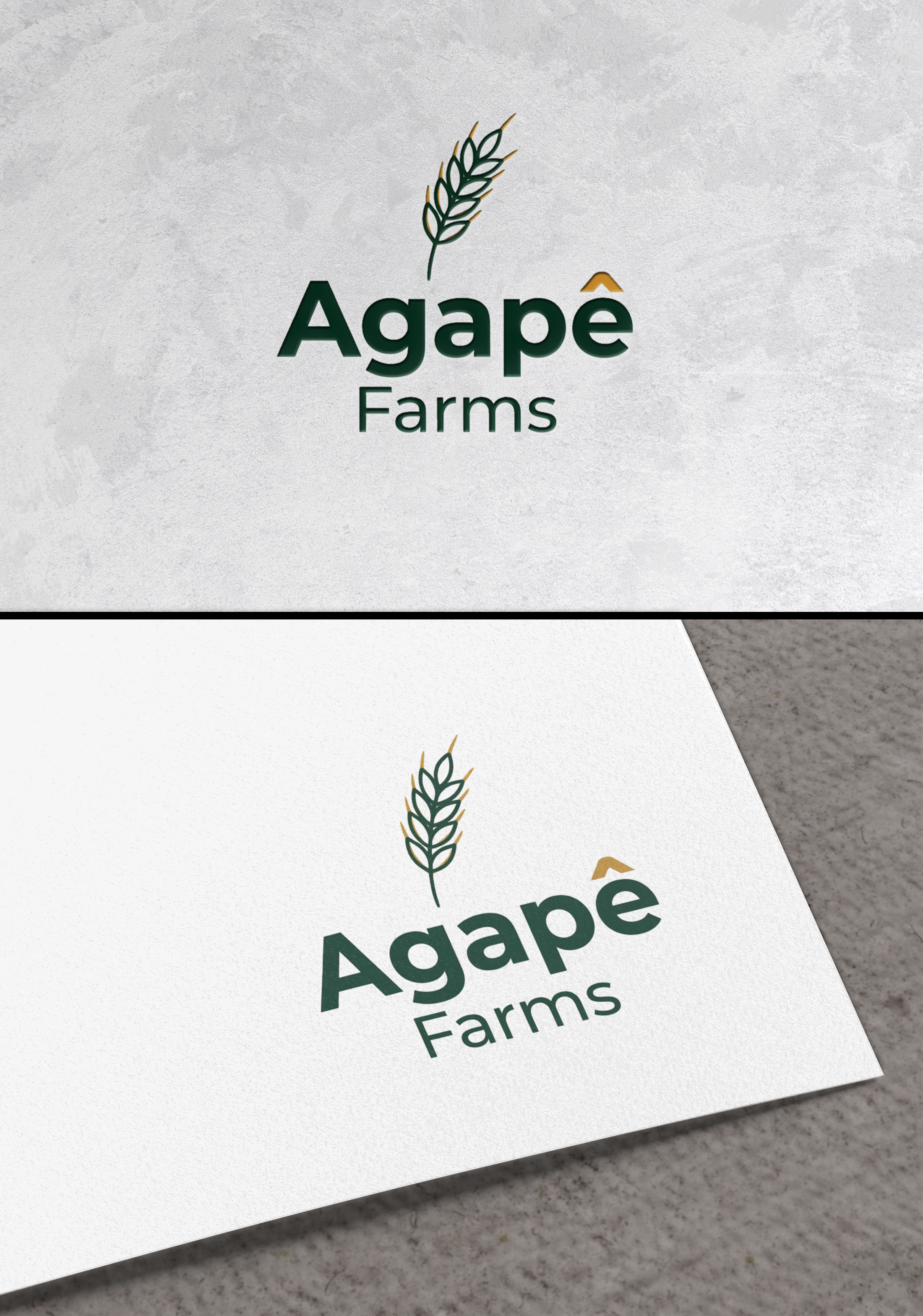 Logo Design by zamdi for Agapé Physical Therapy | Design #37674374
