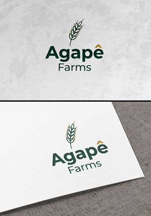 Logo Design by zamdi for Agapé Physical Therapy | Design: #37674374