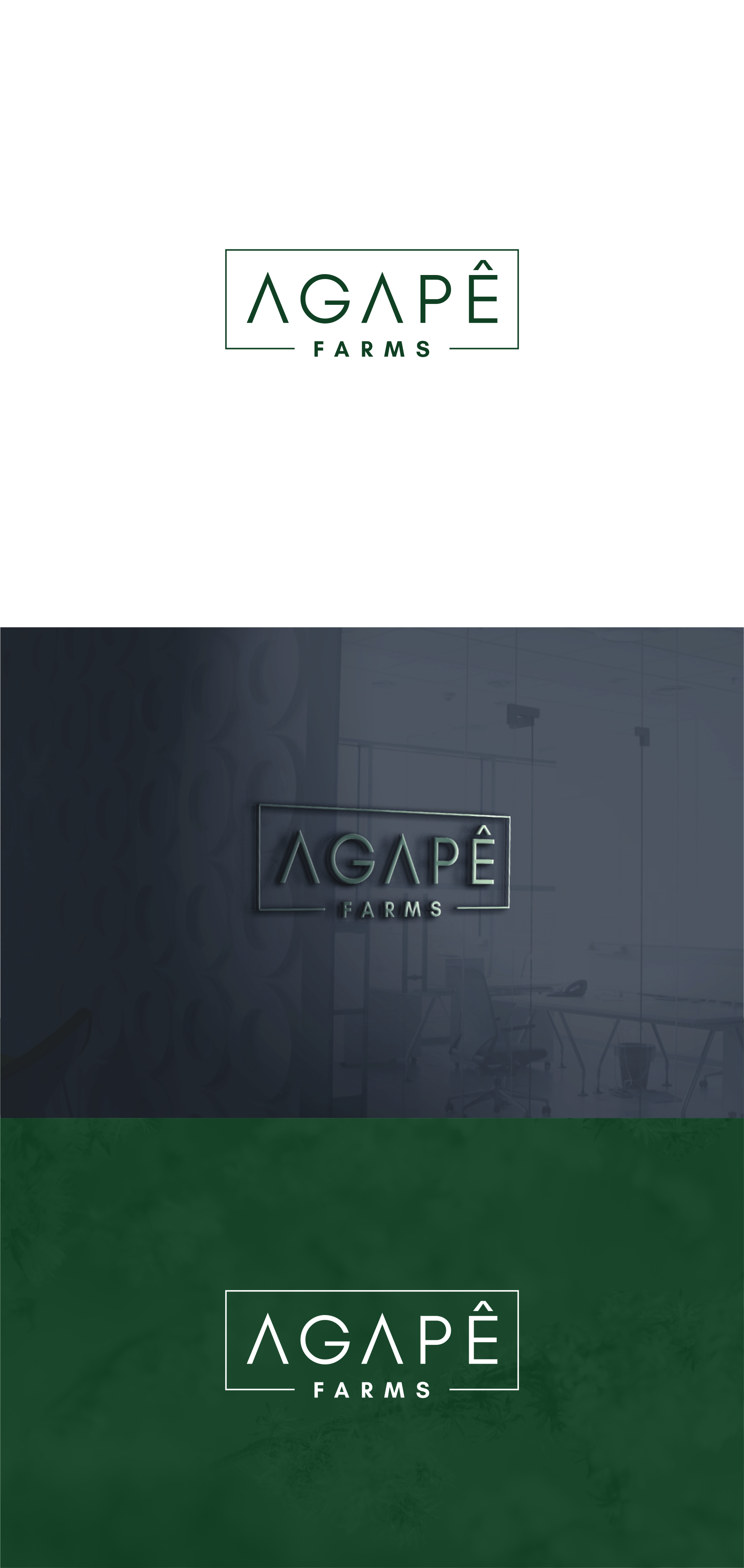 Logo Design by *mary for Agapé Physical Therapy | Design #37672533