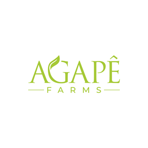 Logo-Design von LAXMI DESIGNHUB für Agapé Physical Therapy | Design #37672338