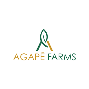 Logo Design by LAXMI DESIGNHUB for Agapé Physical Therapy | Design: #37672339