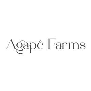 Logo Design by factor for Agapé Physical Therapy | Design: #37677547