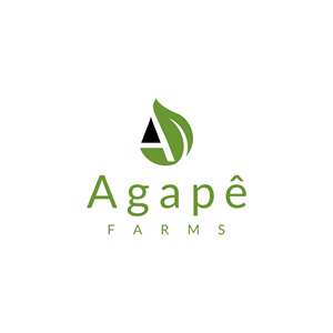 Logo Design by Maulana 2023 for Agapé Physical Therapy | Design: #37672372
