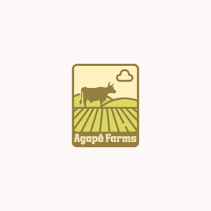 Logo-Design von Roman Designs für Agapé Physical Therapy | Design #37673876