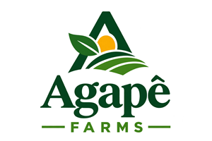 Logo Design by jeckx2 for Agapé Physical Therapy | Design: #37670712