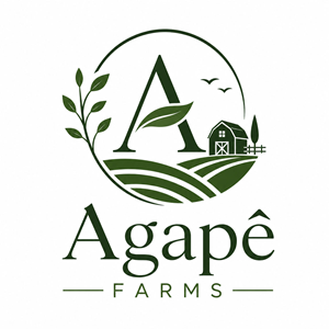 Logo Design by jeckx2 for Agapé Physical Therapy | Design: #37670713