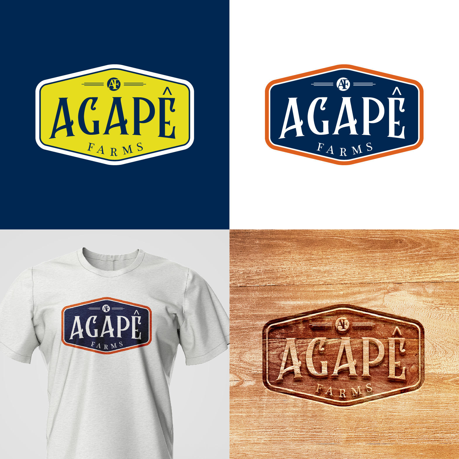 Logo Design by 4tech services for Agapé Physical Therapy | Design #37672734