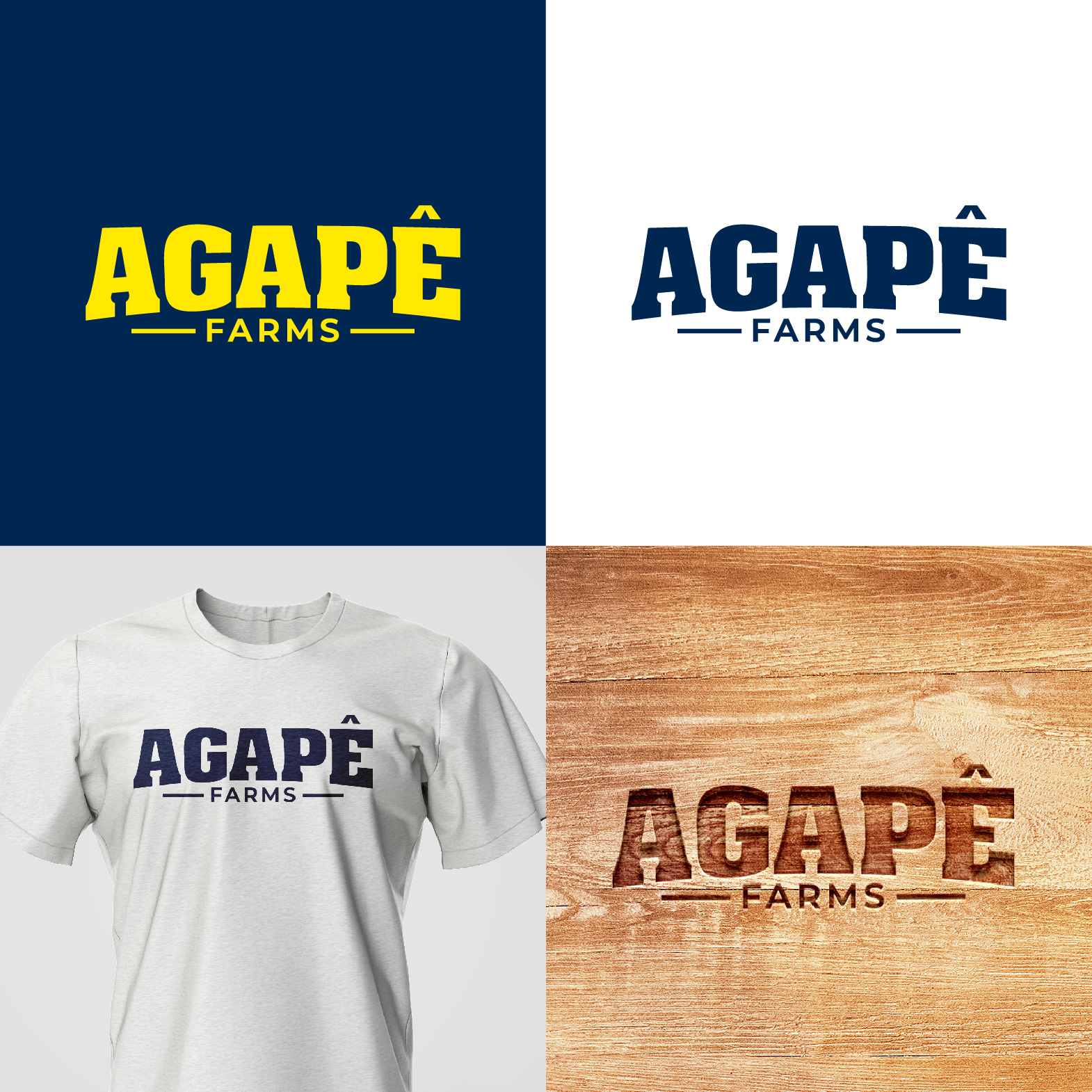 Logo Design by 4tech services for Agapé Physical Therapy | Design #37672735