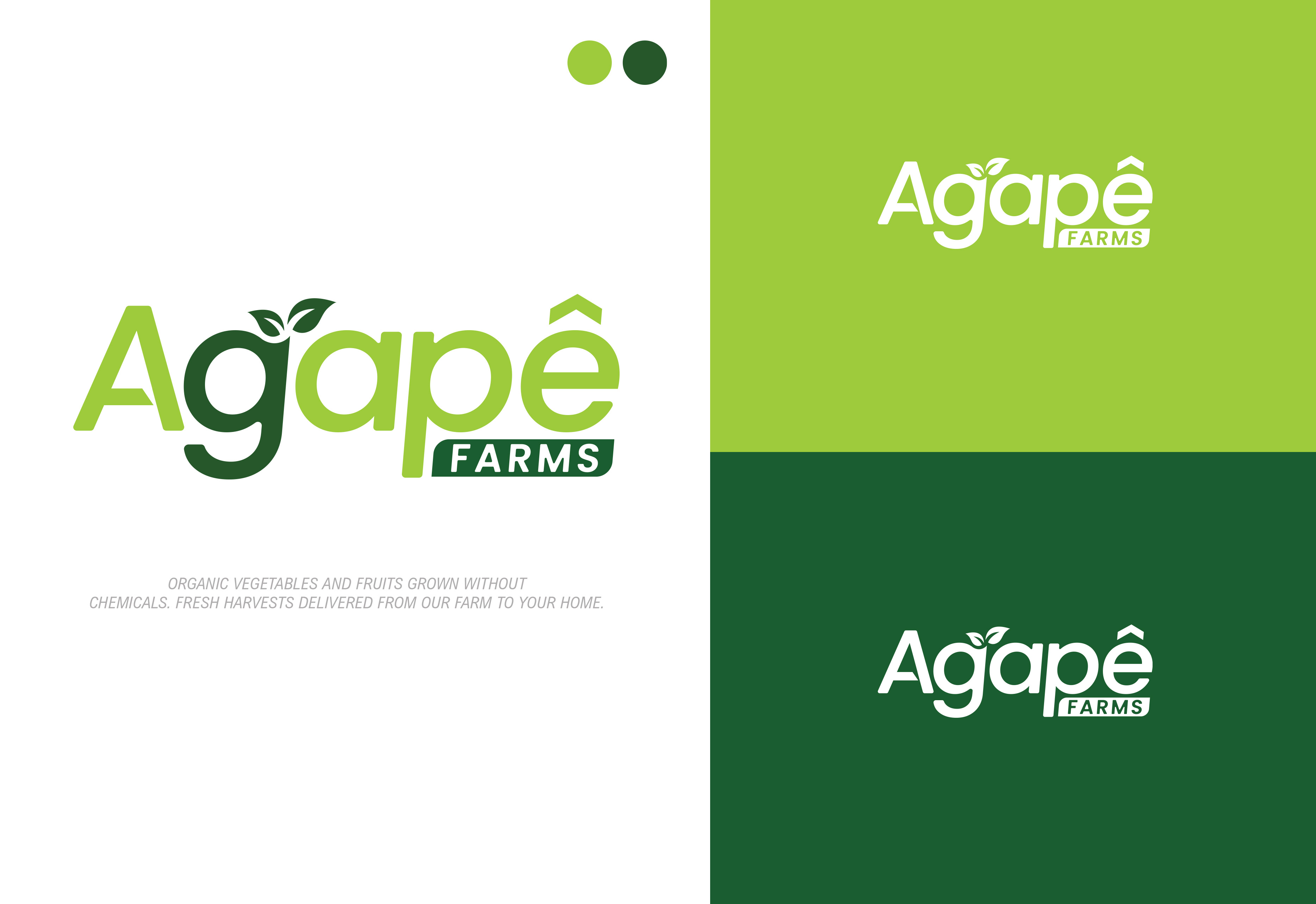 Logo Design by Dil_gfx for Agapé Physical Therapy | Design #37672541
