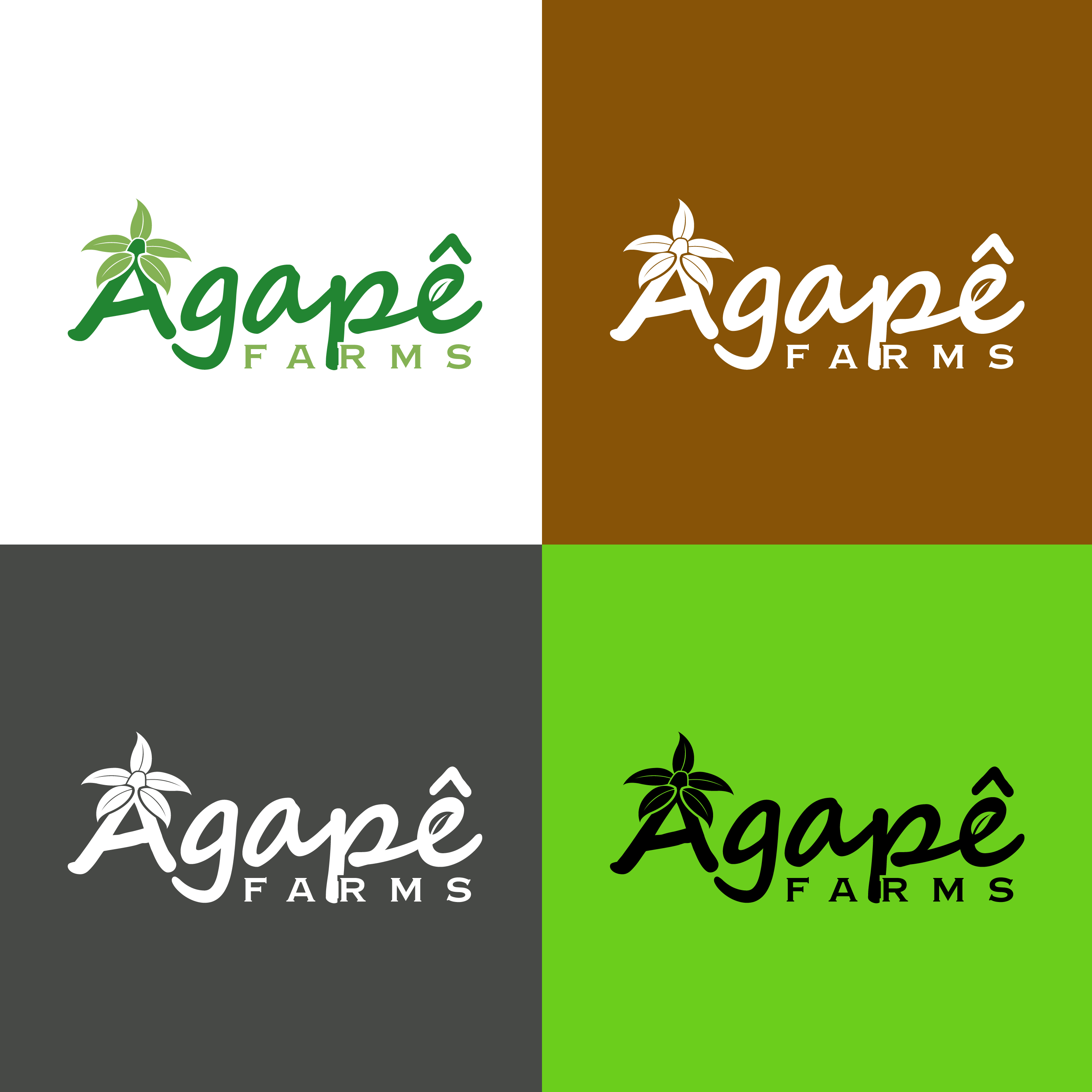 Logo Design by UMBRA Designs for Agapé Physical Therapy | Design #37672013