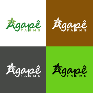 Logo Design by UMBRA Designs for Agapé Physical Therapy | Design: #37672013