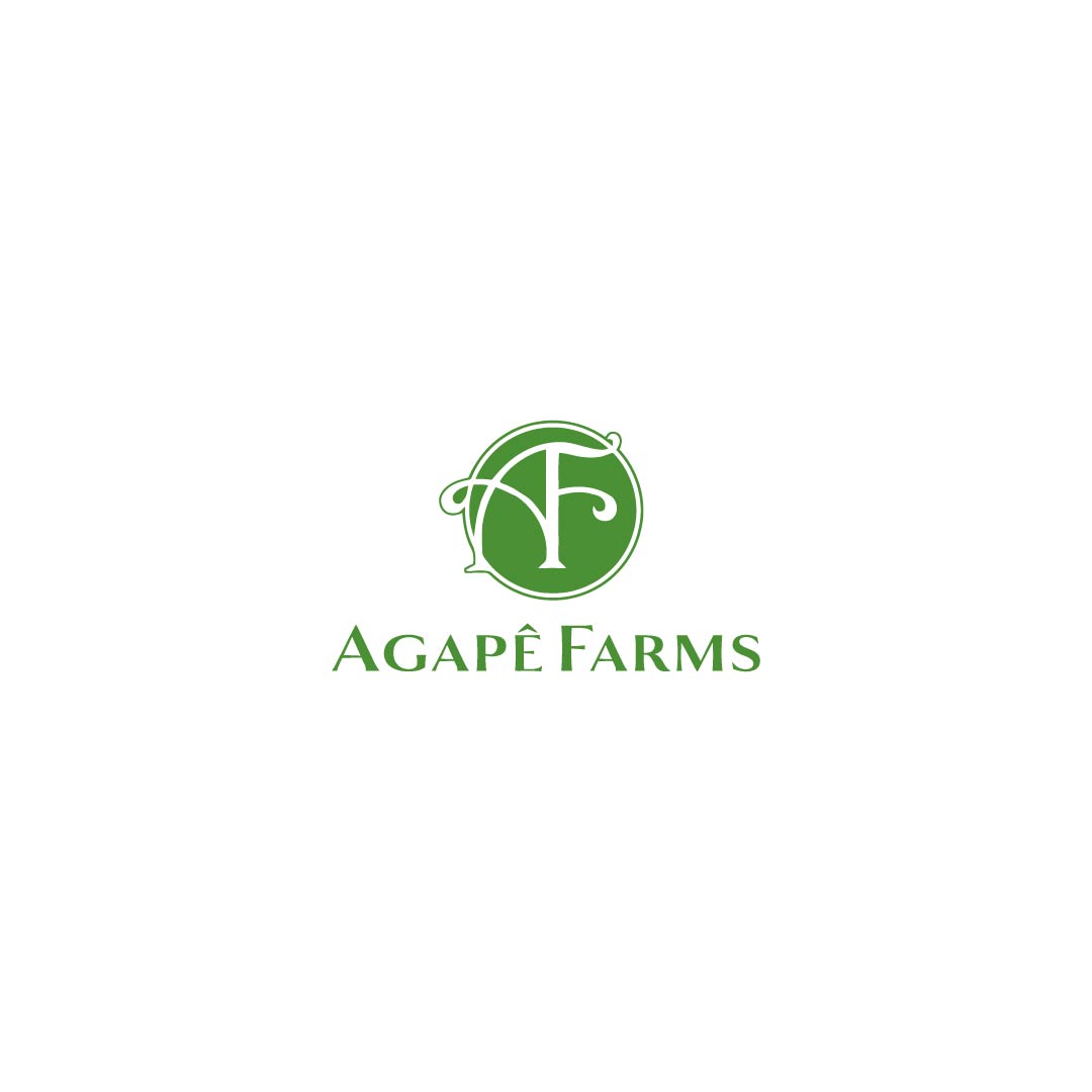 Logo Design by sopbuah for Agapé Physical Therapy | Design #37680651