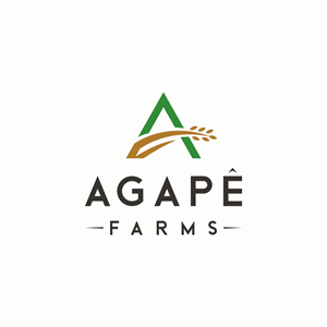 Logo-Design von Ashani Bhattacharya für Agapé Physical Therapy | Design #37670769