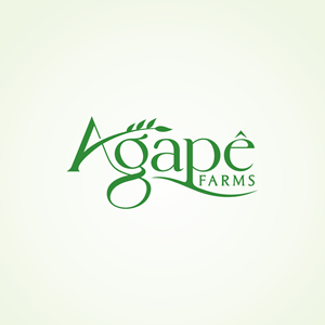 Logo Design by Ashani Bhattacharya for Agapé Physical Therapy | Design: #37670847