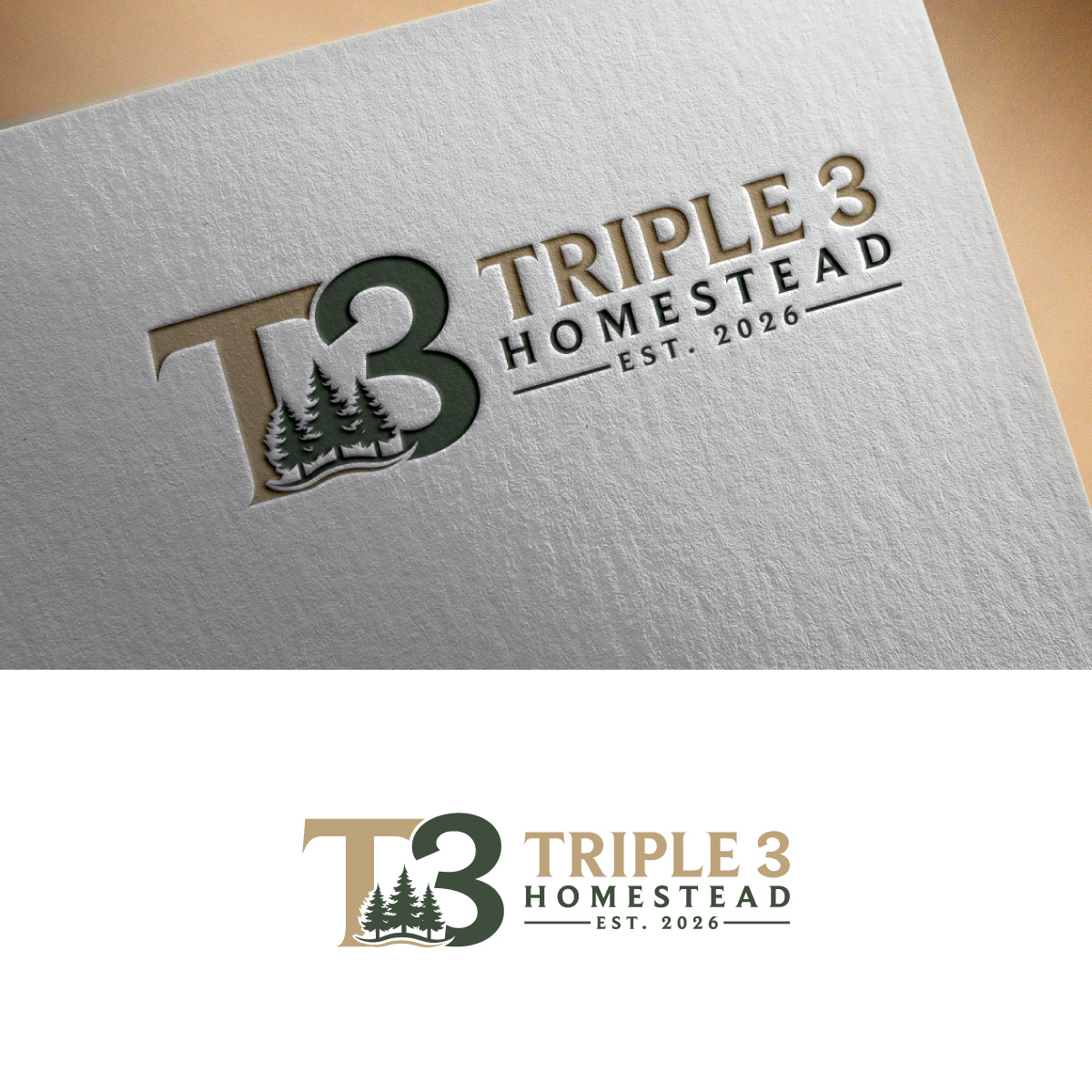 Logo Design by ExclusiveMind for MACE CAPITAL GROUP PTY LTD | Design #37683064