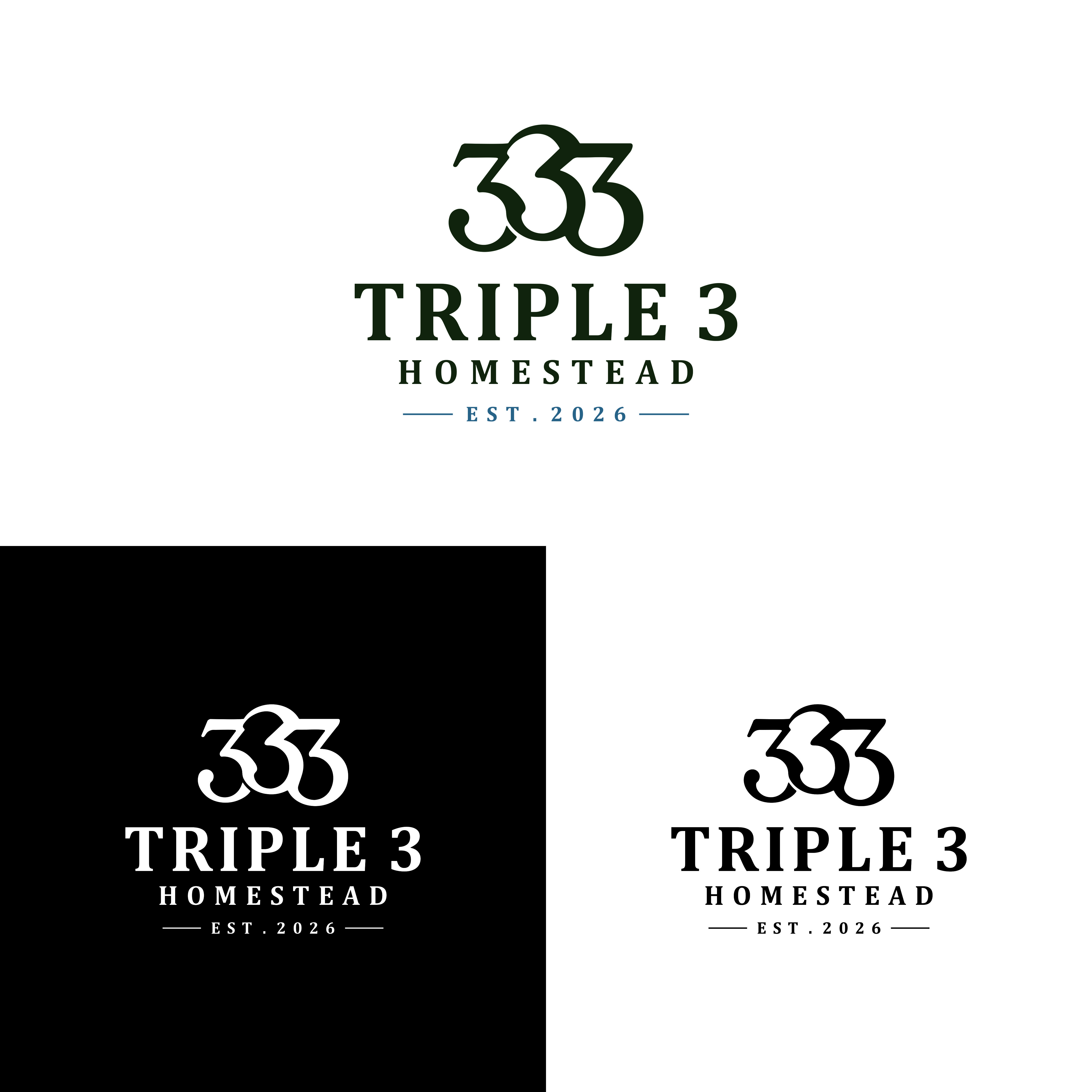 Logo Design by ANDDL for MACE CAPITAL GROUP PTY LTD | Design #37675251