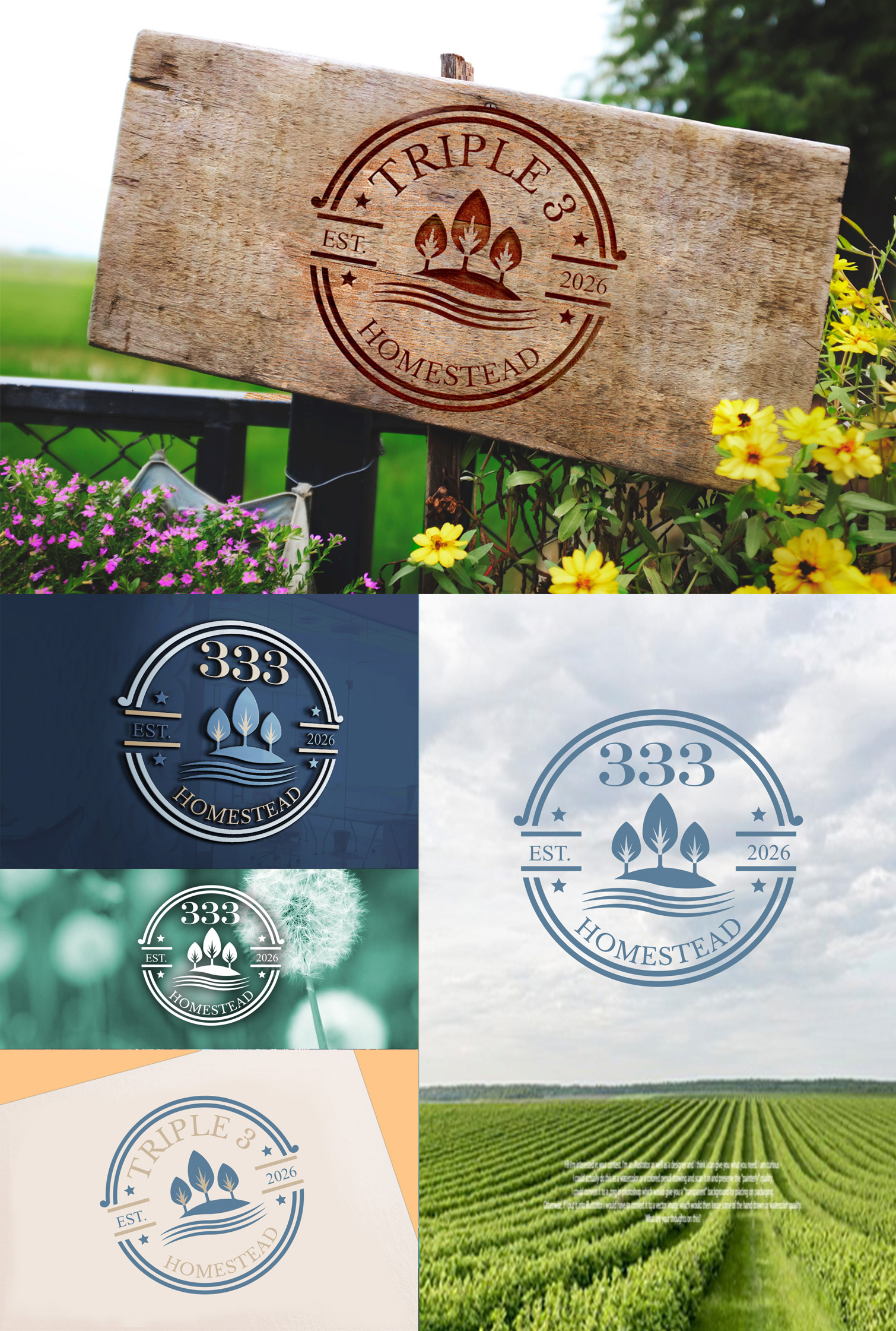 Logo Design by Wonderful design for MACE CAPITAL GROUP PTY LTD | Design #37674470