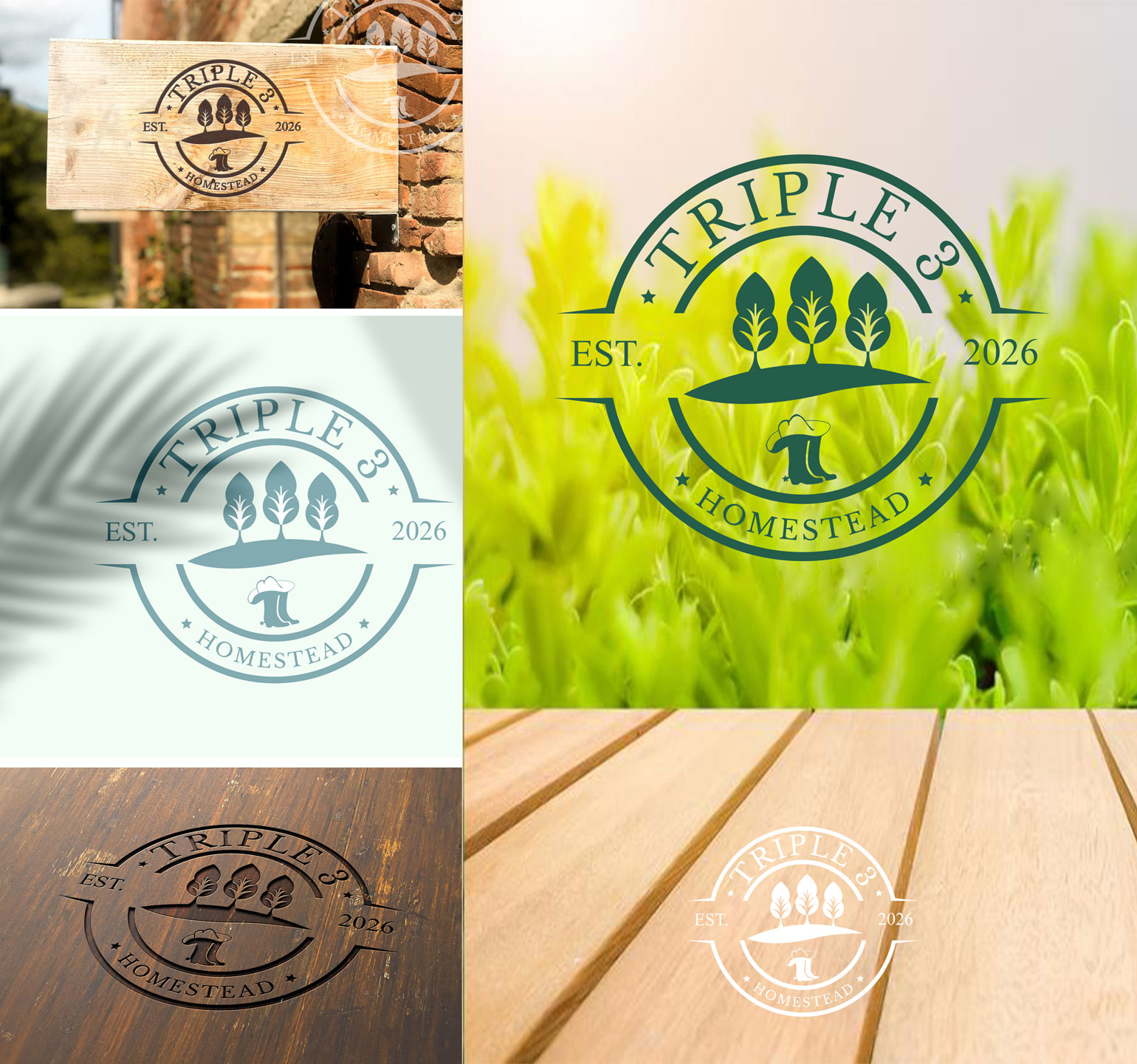 Logo Design by Wonderful design for MACE CAPITAL GROUP PTY LTD | Design #37674964