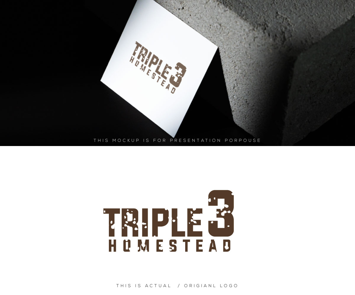 Logo Design by Ansh Design for MACE CAPITAL GROUP PTY LTD | Design #37672466