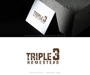 Logo Design by Ansh Design for MACE CAPITAL GROUP PTY LTD | Design: #37672466