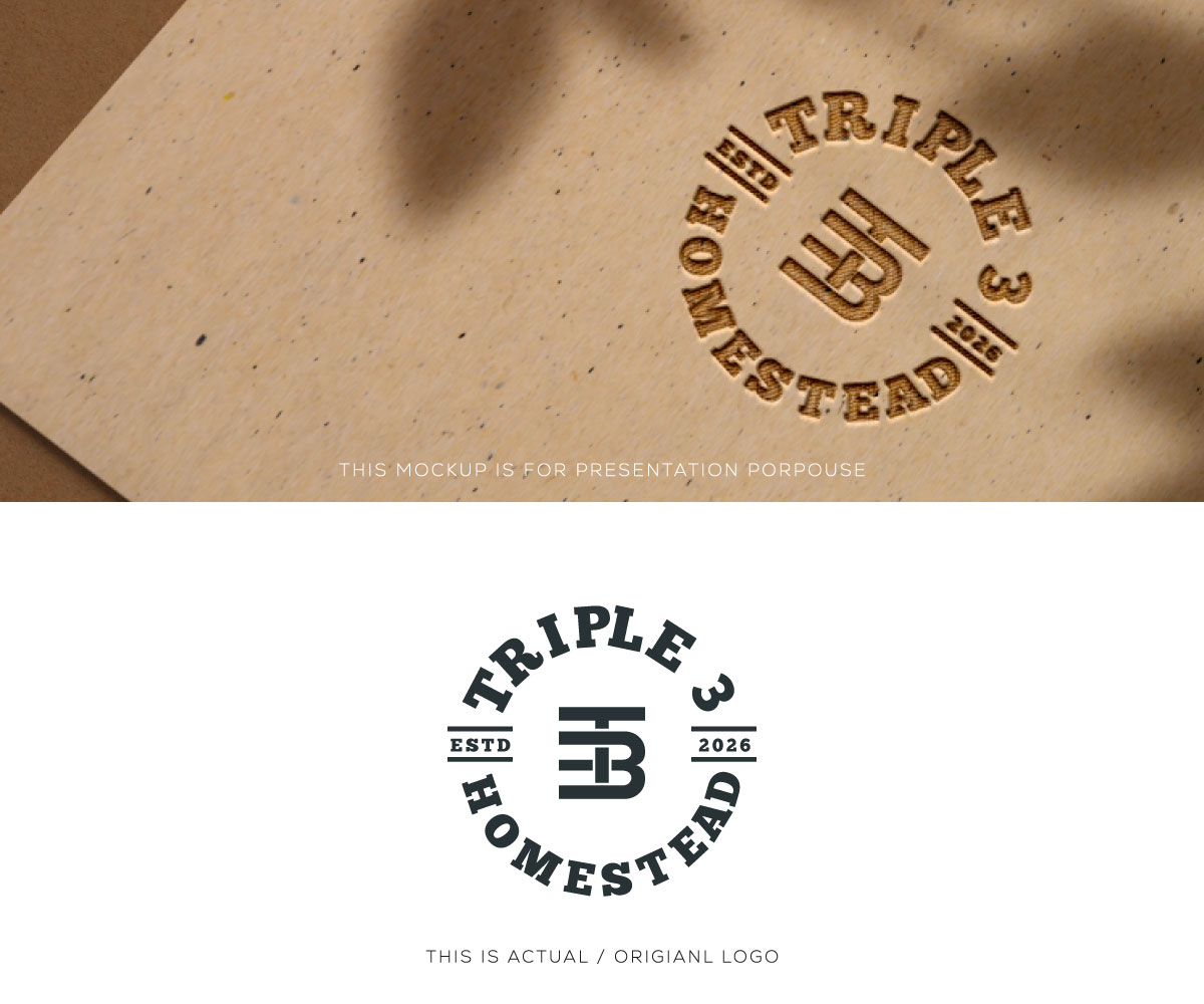 Logo Design by Ansh Design for MACE CAPITAL GROUP PTY LTD | Design #37674912